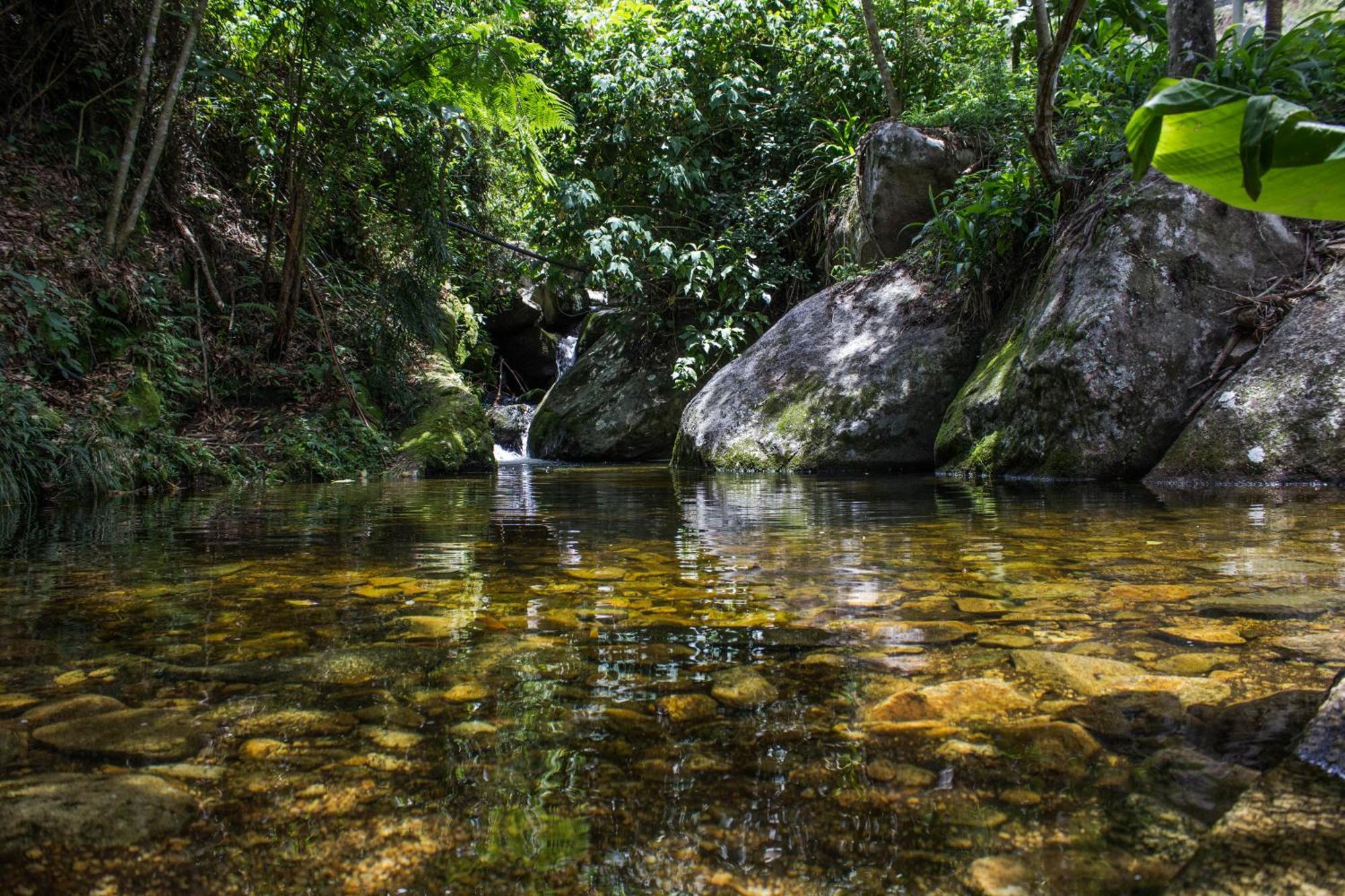 Hotel Fazenda Caledonia Inn โนวาฟริบูร์โก ภายนอก รูปภาพ