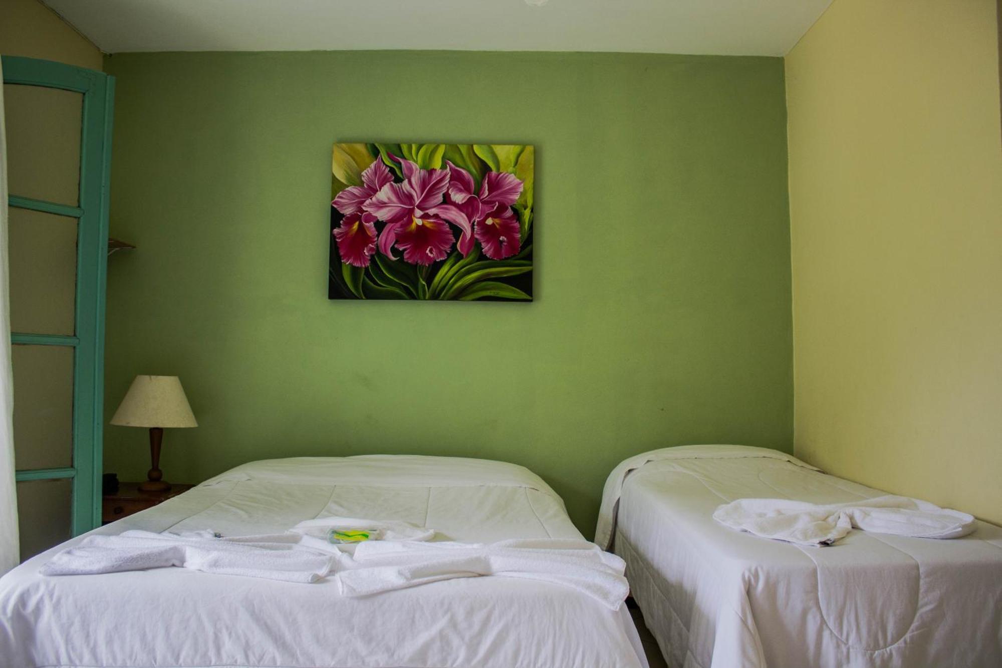 Hotel Fazenda Caledonia Inn โนวาฟริบูร์โก ภายนอก รูปภาพ